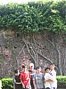 graduation _trip145
